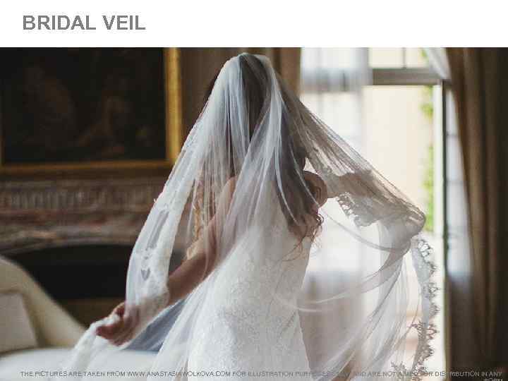 BRIDAL VEIL THE PICTURES ARE TAKEN FROM WWW. ANASTASIAWOLKOVA. COM FOR ILLUSTRATION PURPOSES ONLY