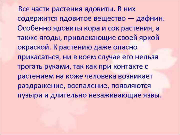  Все части растения ядовиты. В них содержится ядовитое вещество — дафнин. Особенно ядовиты