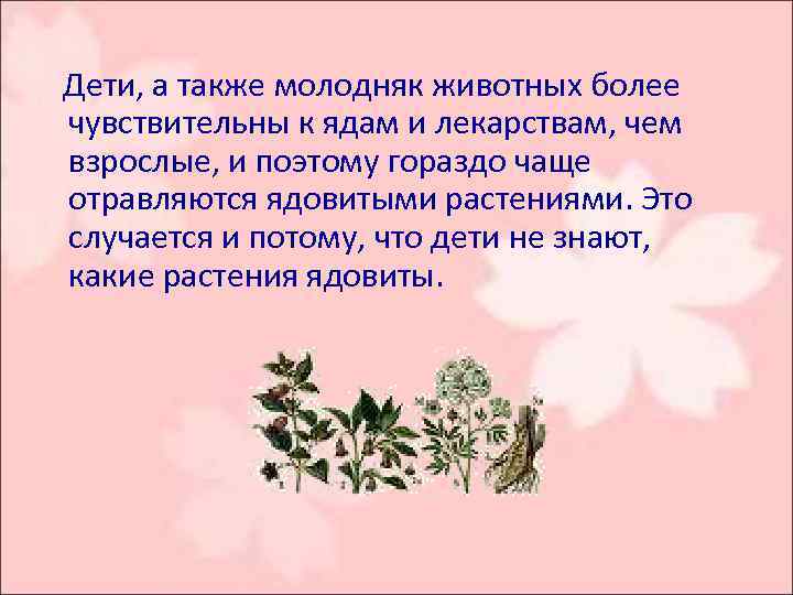  Дети, а также молодняк животных более чувствительны к ядам и лекарствам, чем взрослые,
