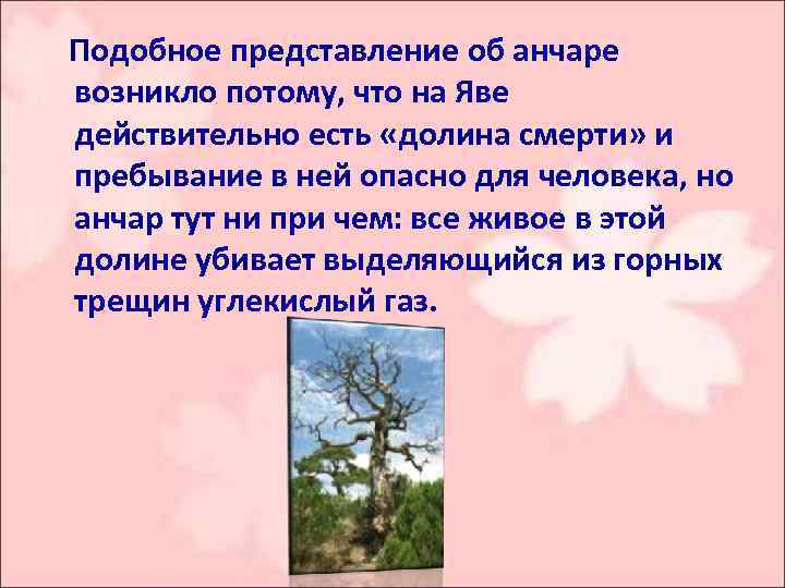 Подобное представление об анчаре возникло потому, что на Яве действительно есть «долина смерти» и