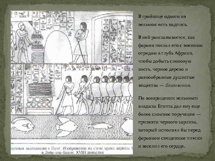 В гробнице одного из вельмож есть надпись. В ней рассказывается, как фараон послал его