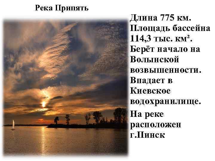 Река Припять Длина 775 км. Площадь бассейна 114, 3 тыс. км². Берёт начало на
