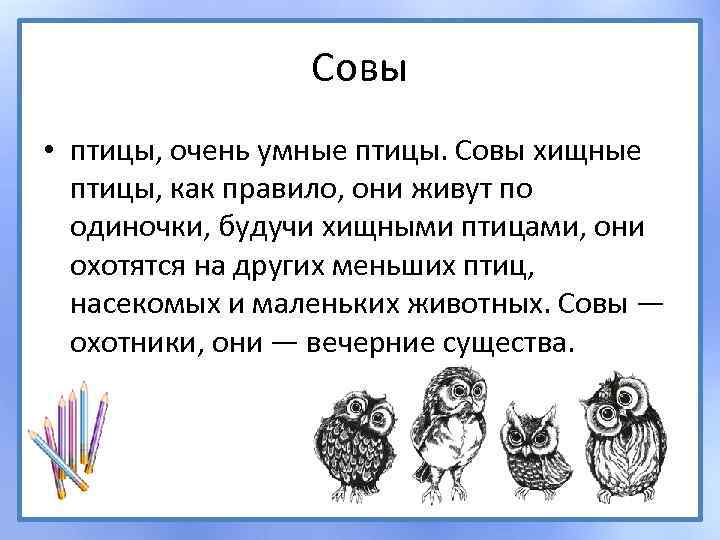 Совы • птицы, очень умные птицы. Совы хищные птицы, как правило, они живут по