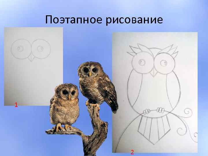 Поэтапное рисование 1 2 