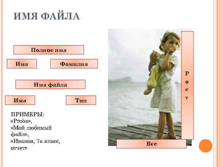 ИМЯ ФАЙЛА Полное имя Имя Фамилия Р о с т Имя файла Имя ПРИМЕРЫ: