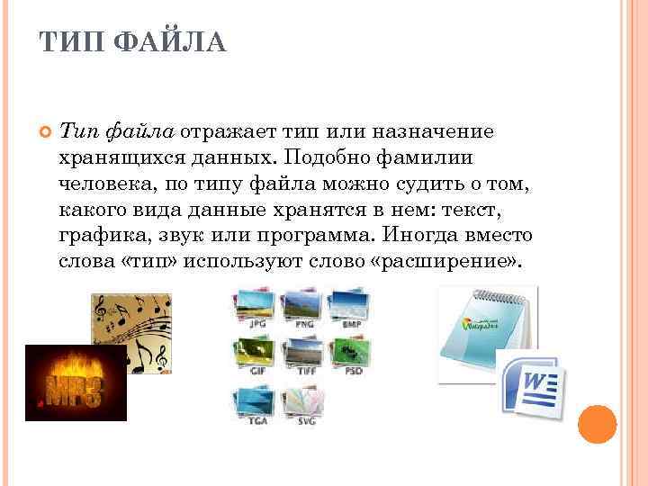 ТИП ФАЙЛА Тип файла отражает тип или назначение хранящихся данных. Подобно фамилии человека, по