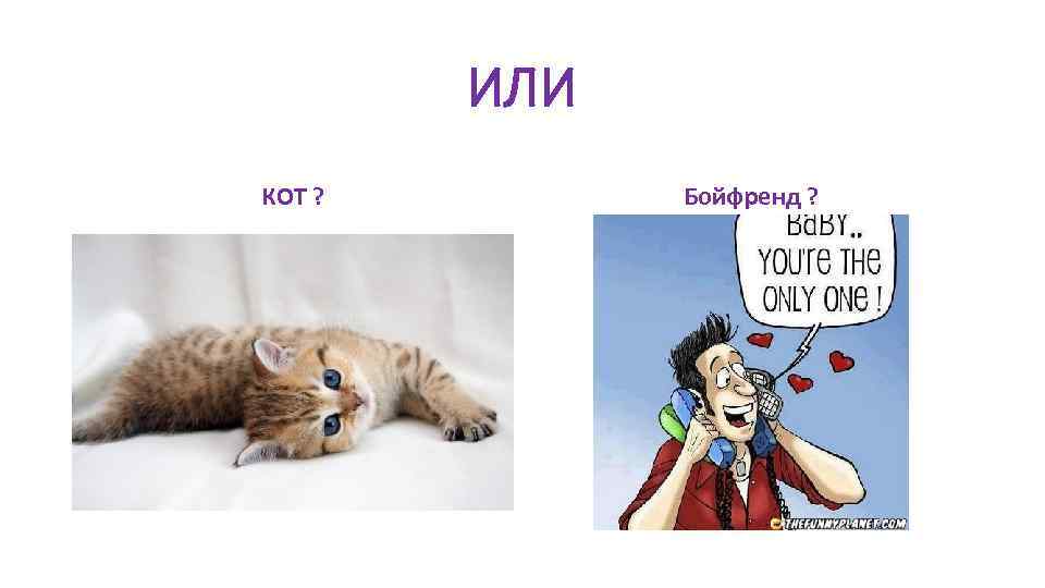 ИЛИ КОТ ? Бойфренд ? 