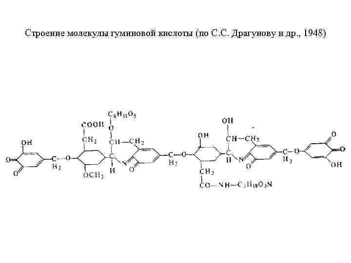 Строение молекулы гуминовой кислоты (по С. С. Драгунову и др. , 1948) 