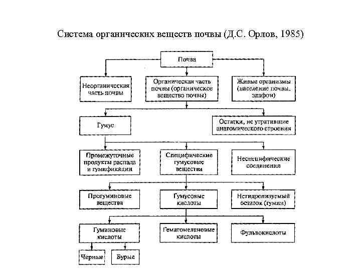 Система органических веществ почвы (Д. С. Орлов, 1985) 