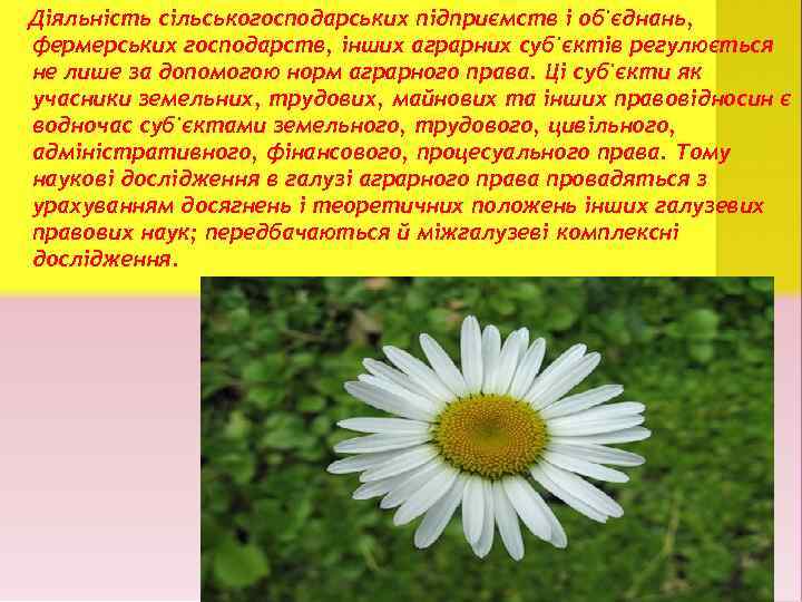 Діяльність сільськогосподарських підприємств і об'єднань, фермерських господарств, інших аграрних суб'єктів регулюється не лише за