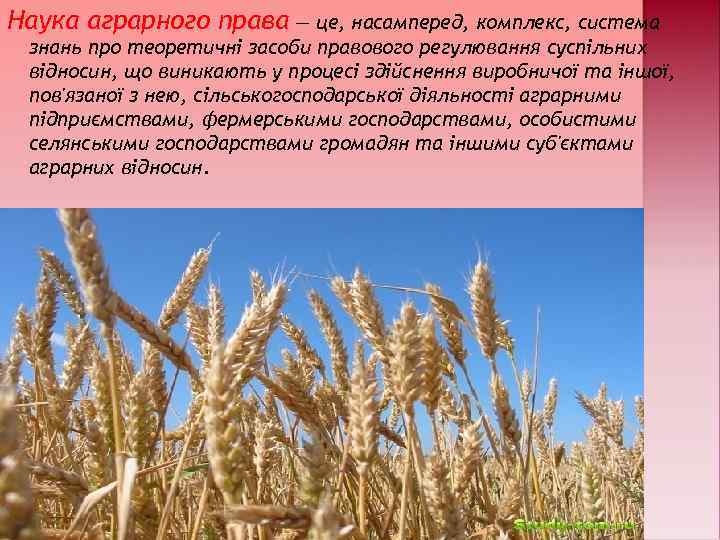 Наука аграрного права — це, насамперед, комплекс, система знань про теоретичні засоби правового регулювання