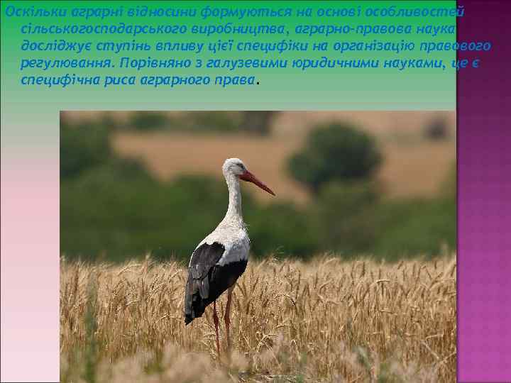 Оскільки аграрні відносини формуються на основі особливостей сільськогосподарського виробництва, аграрно-правова наука досліджує ступінь впливу