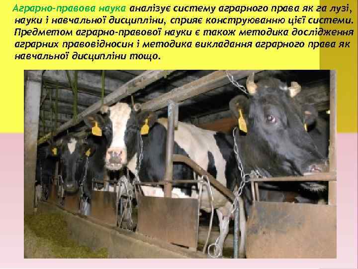 Аграрно-правова наука аналізує систему аграрного права як га лузі, науки і навчальної дисципліни, сприяє