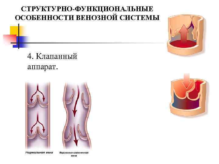 Клапанный аппарат Гейстера. Клапанный аппарат в нос. Клапанный аппарат на ногах.