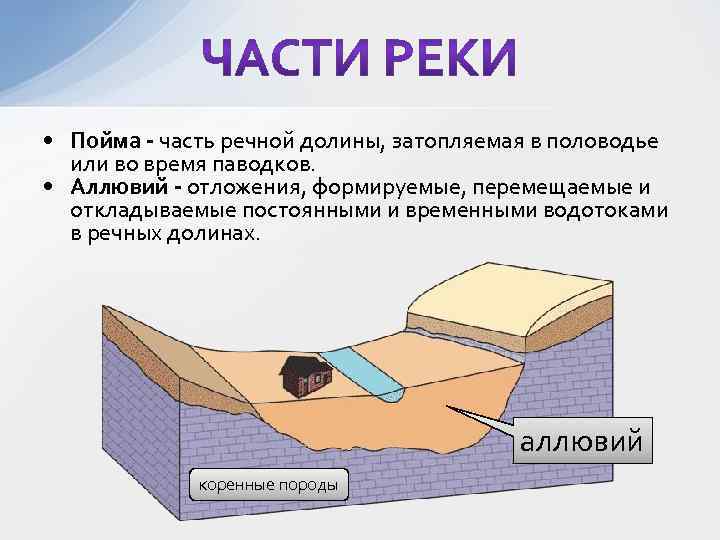  • Пойма - часть речной долины, затопляемая в половодье или во время паводков.