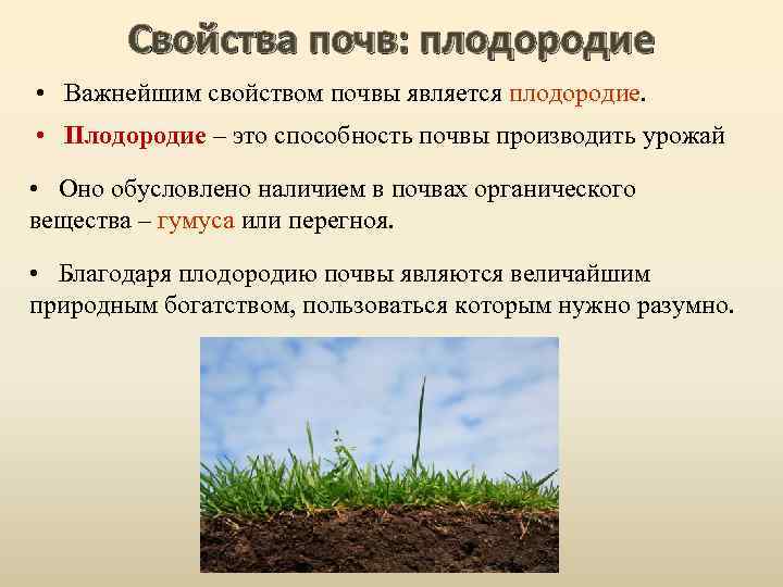 Свойства почв: плодородие • Важнейшим свойством почвы является плодородие. • Плодородие – это способность