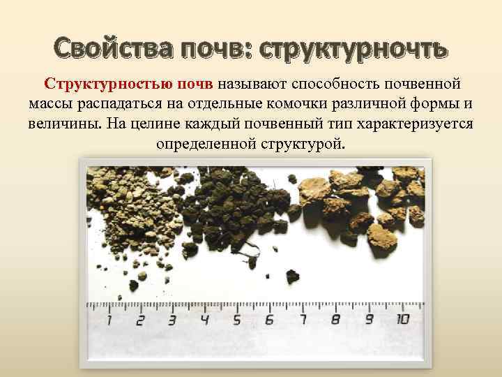 Свойства почв: структурночть Структурностью почв называют способность почвенной массы распадаться на отдельные комочки различной