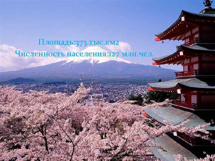 Площадь: 373. тыс. км 2 Численность населения: 127 млн. чел. 