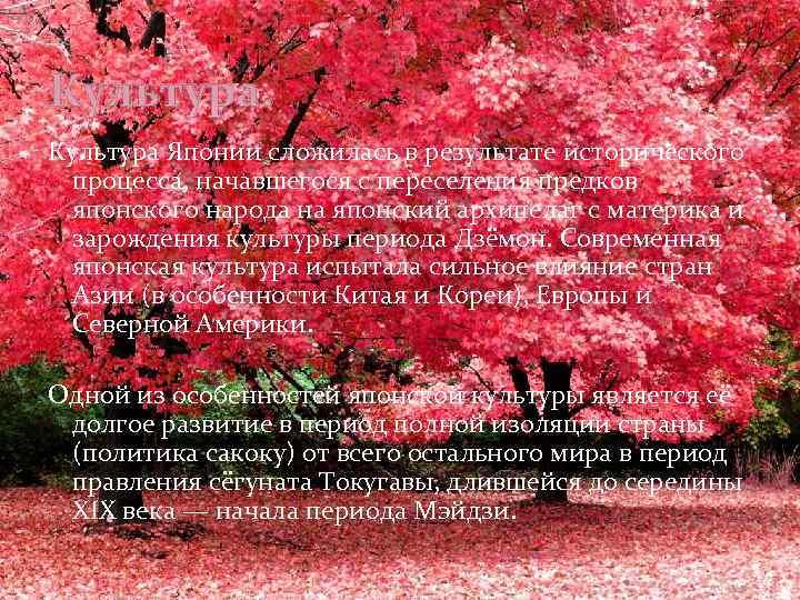 Культура Японии сложилась в результате исторического процесса, начавшегося с переселения предков японского народа на