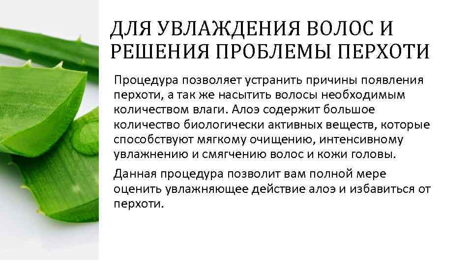 ДЛЯ УВЛАЖДЕНИЯ ВОЛОС И РЕШЕНИЯ ПРОБЛЕМЫ ПЕРХОТИ Процедура позволяет устранить причины появления перхоти, а