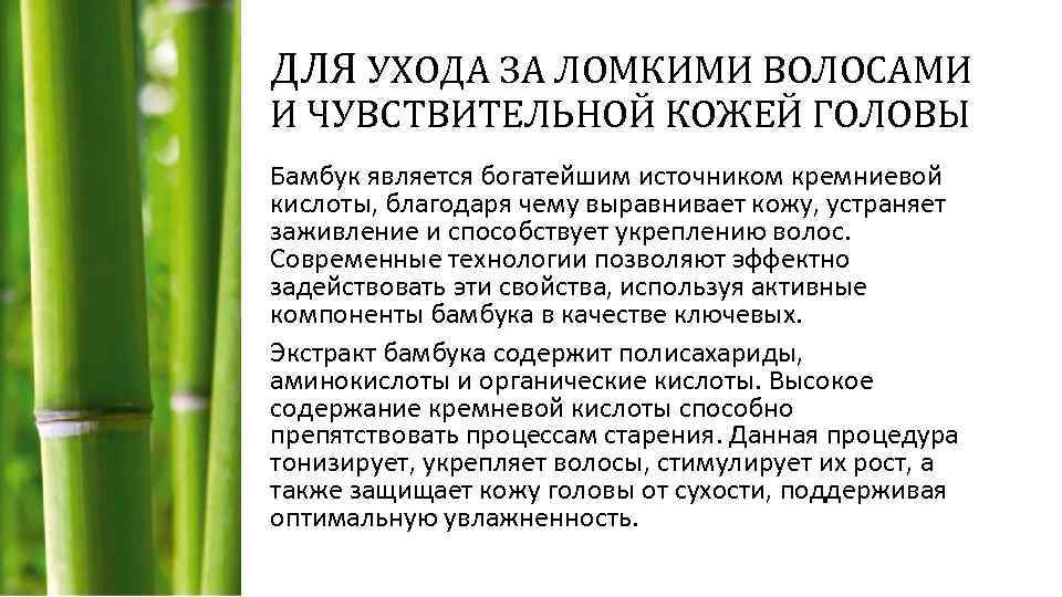 ДЛЯ УХОДА ЗА ЛОМКИМИ ВОЛОСАМИ И ЧУВСТВИТЕЛЬНОЙ КОЖЕЙ ГОЛОВЫ Бамбук является богатейшим источником кремниевой