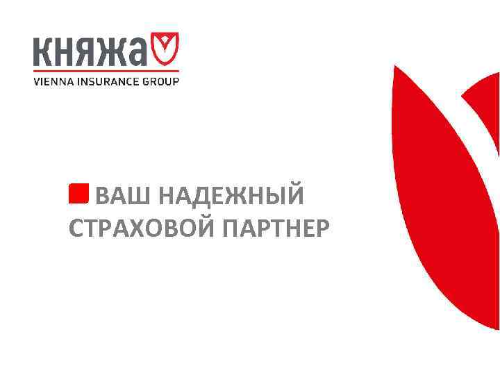 ВАШ НАДЕЖНЫЙ СТРАХОВОЙ ПАРТНЕР 