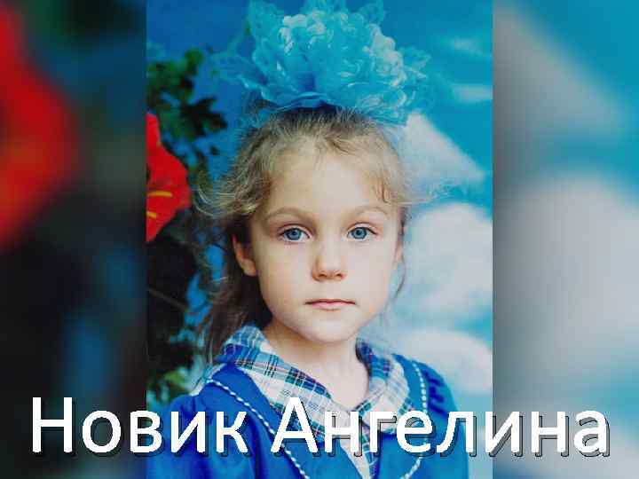 Новик Ангелина 