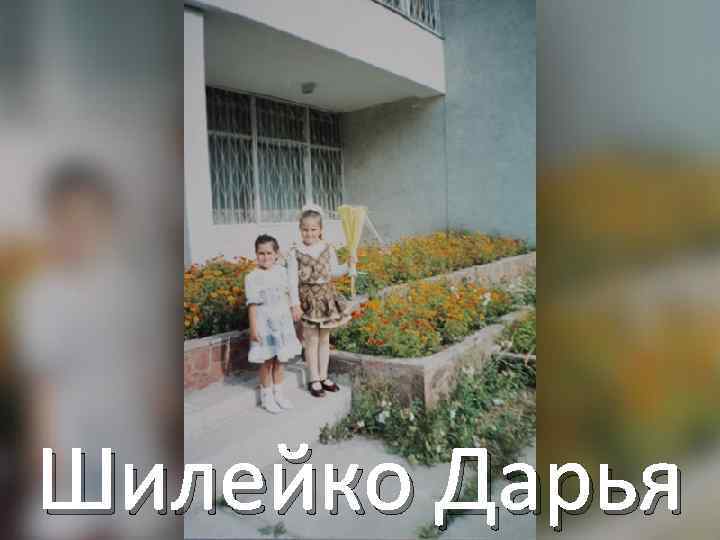 Шилейко Дарья 