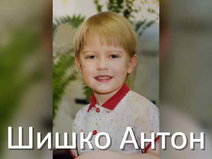 Шишко Антон 