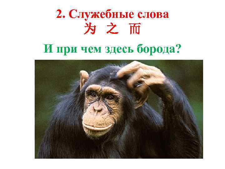 2. Служебные слова 为 之 而 И при чем здесь борода? 