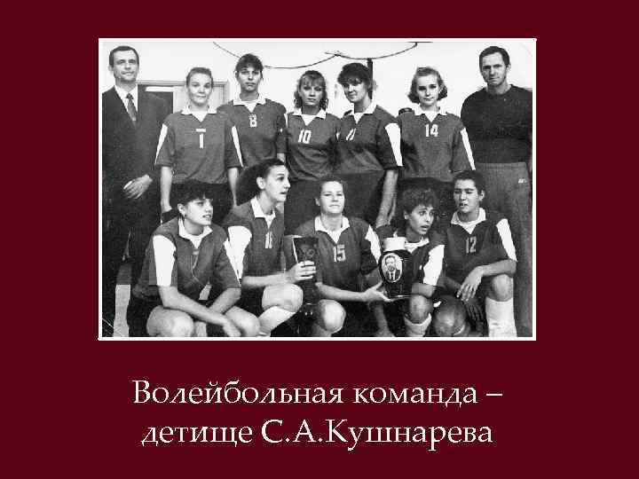 Волейбольная команда – детище С. А. Кушнарева 