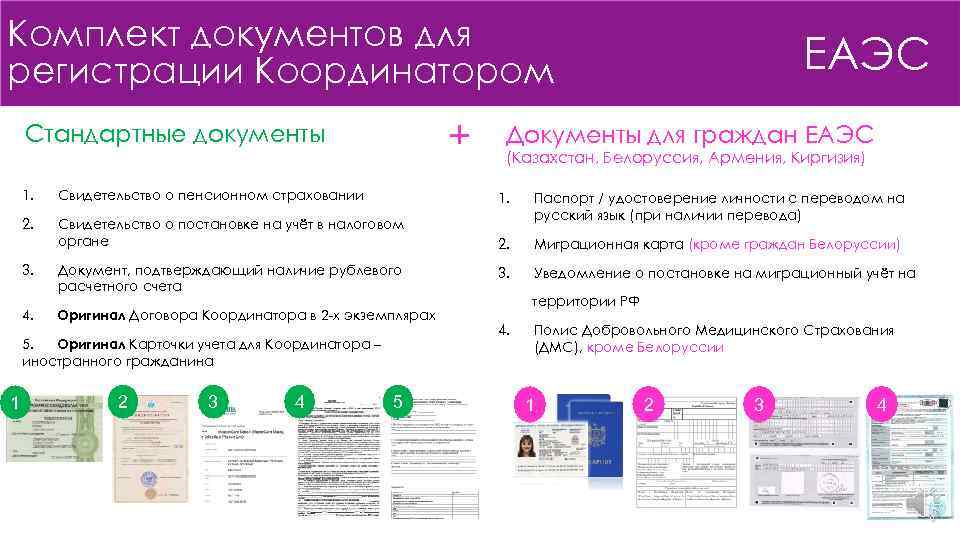 Комплект документов для регистрации Координатором + Стандартные документы ЕАЭС Документы для граждан ЕАЭС (Казахстан,