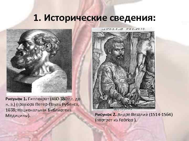 1. Исторические сведения: Рисунок 1. Гиппократ (460 -380 г. г. до н. э. )