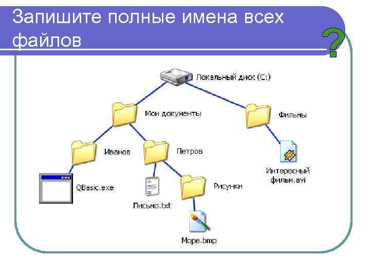 Запишите полные имена всех файлов 