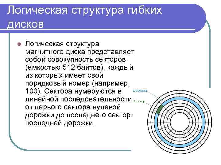 Логическая структура гибких дисков l Логическая структура магнитного диска представляет собой совокупность секторов (емкостью