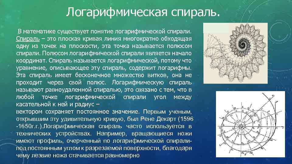 Логарифмическая спираль в природе. Эволюта логарифмической спирали. Логарифмическая спираль по точками. Вращающиеся ножи логарифмическая спираль. Спираль в математике как называется.