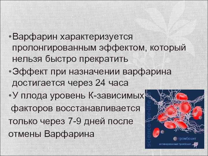  • Варфарин характеризуется пролонгированным эффектом, который нельзя быстро прекратить • Эффект при назначении
