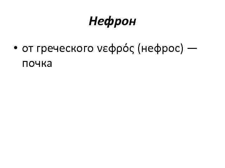 Нефрон • от греческого νεφρός (нефрос) — почка 