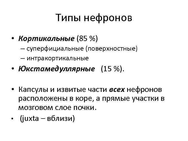 Типы нефронов • Кортикальные (85 %) – суперфициальные (поверхностные) – интракортикальные • Юкстамедуллярные (15