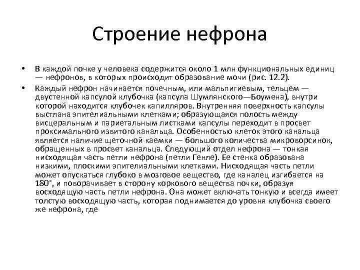 Строение нефрона • • В каждой почке у человека содержится около 1 млн функциональных