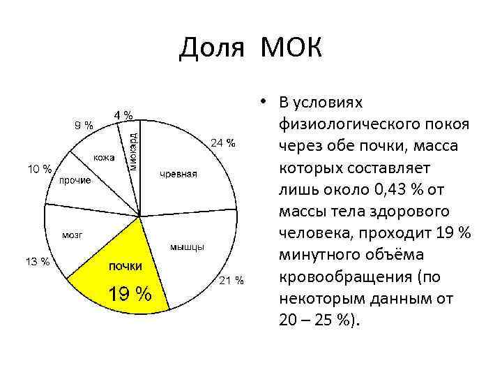 Доля МОК • В условиях физиологического покоя через обе почки, масса которых составляет лишь