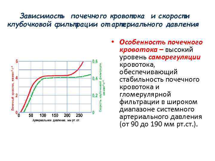 Зависимость почечного кровотока и скорости клубочковой фильтрации от артериального давления • Особенность почечного кровотока