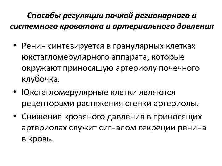 Способы регуляции почкой регионарного и системного кровотока и артериального давления • Ренин синтезируется в