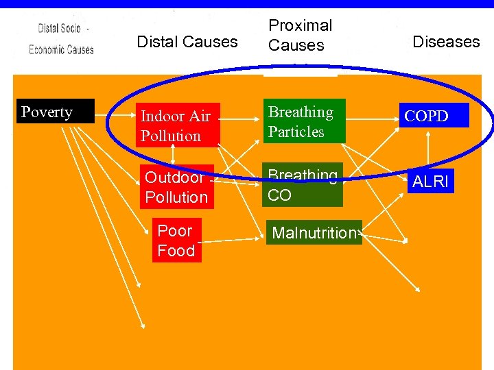 Distal Causes Cigarette Poverty Ads Tobacco Indoor Air Use Proximal Causes Diseases COPD Pollution