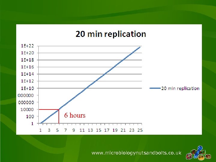 6 hours www. microbiologynutsandbolts. co. uk 