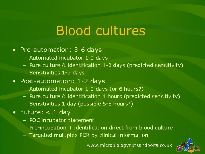 Blood cultures • Pre-automation: 3 -6 days – Automated incubator 1 -2 days –