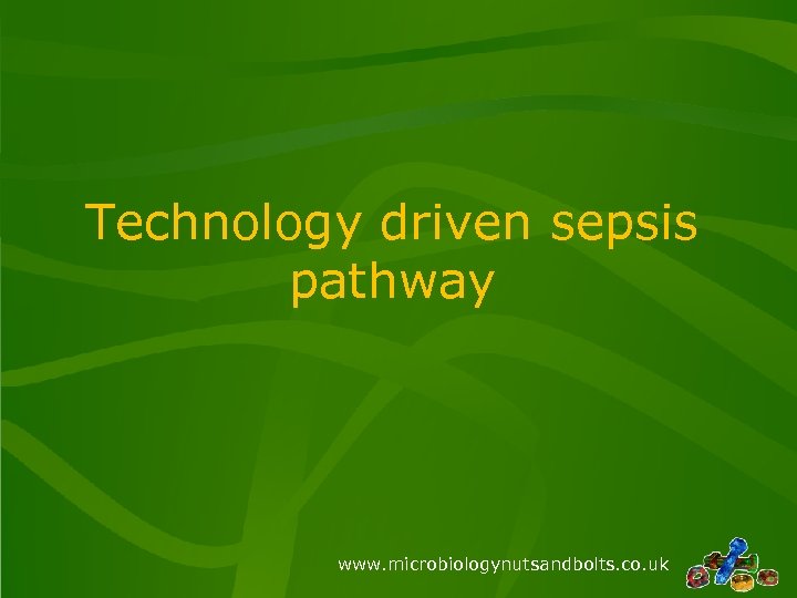 Technology driven sepsis pathway www. microbiologynutsandbolts. co. uk 