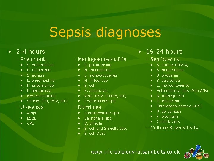 Sepsis diagnoses • 2 -4 hours – Pneumonia • • S. pneumoniae H. influenzae