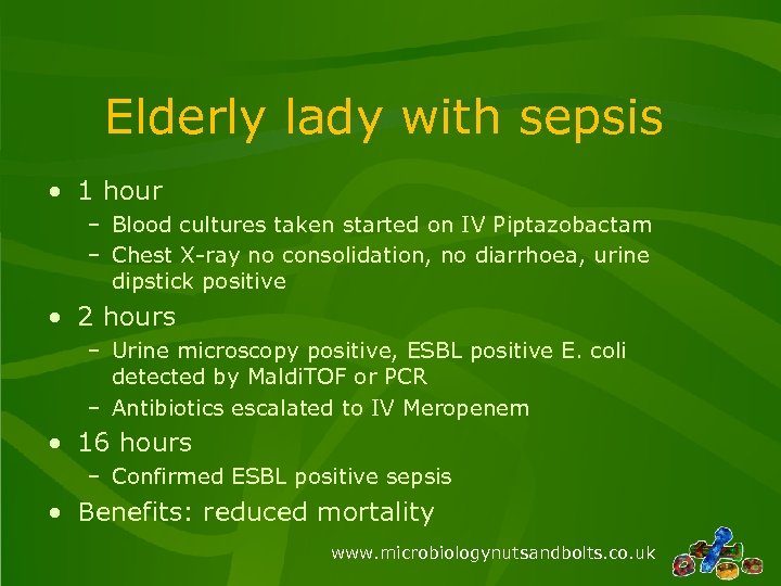 Elderly lady with sepsis • 1 hour – Blood cultures taken started on IV