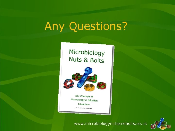 Any Questions? www. microbiologynutsandbolts. co. uk 